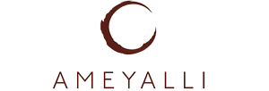 Ameyalli Residences Owners Association INC.